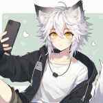 Bible的头像-WordPress主题模板-zibll子比主题