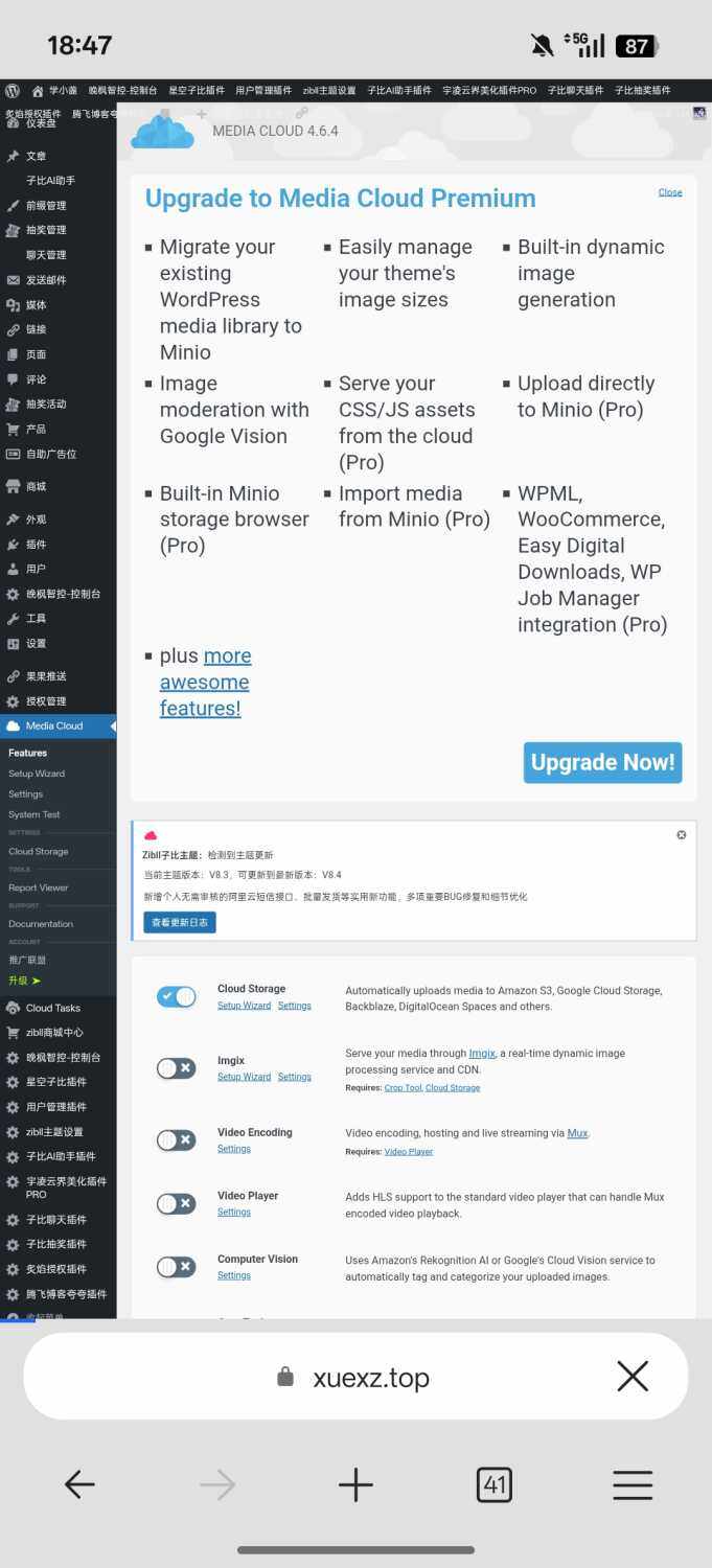 评论图片-WordPress主题模板-zibll子比主题