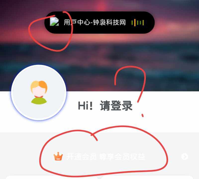 求助，这个问题怎么解决？-WordPress主题模板-zibll子比主题