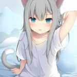 用户54706667的头像-WordPress主题模板-zibll子比主题