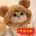 奥特曼打怪兽的头像-WordPress主题模板-zibll子比主题