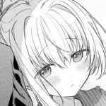 轼梦的头像-WordPress主题模板-zibll子比主题