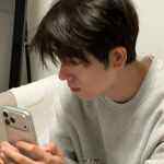 天才笨蛋喵的头像-WordPress主题模板-zibll子比主题