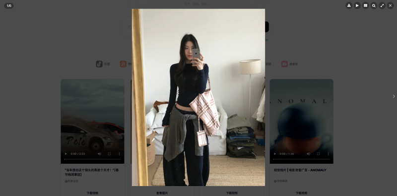 基于zibll开发的短视频去水印插件，欢迎体验【https://ucks.cn/watermark】-WordPress主题模板-zibll子比主题