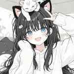 时雨星空的头像-WordPress主题模板-zibll子比主题