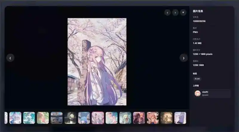 夏稚相册- 对接lsky pro+ 广场接口-WordPress主题模板-zibll子比主题