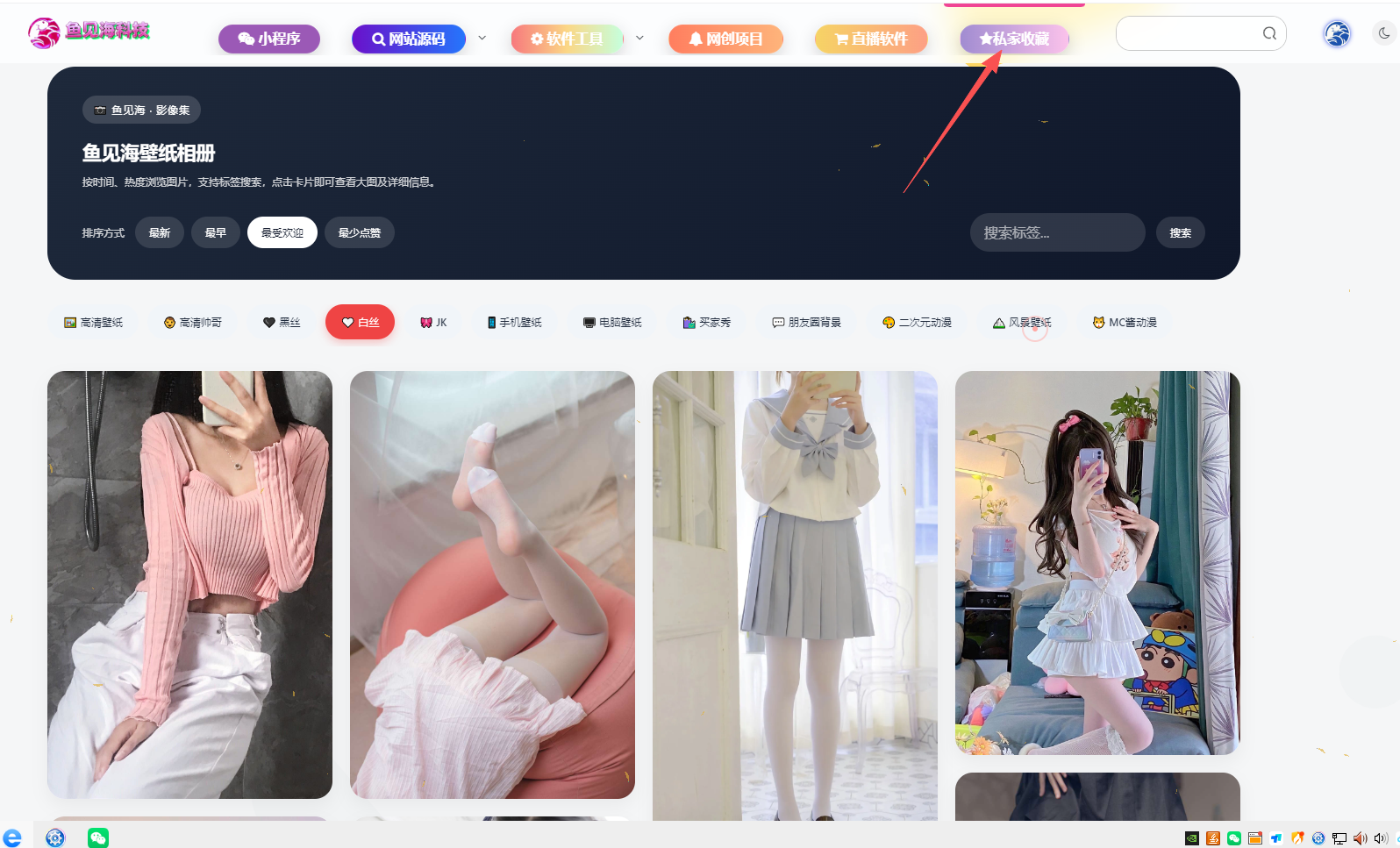 相册插件有没有要的-WordPress主题模板-zibll子比主题