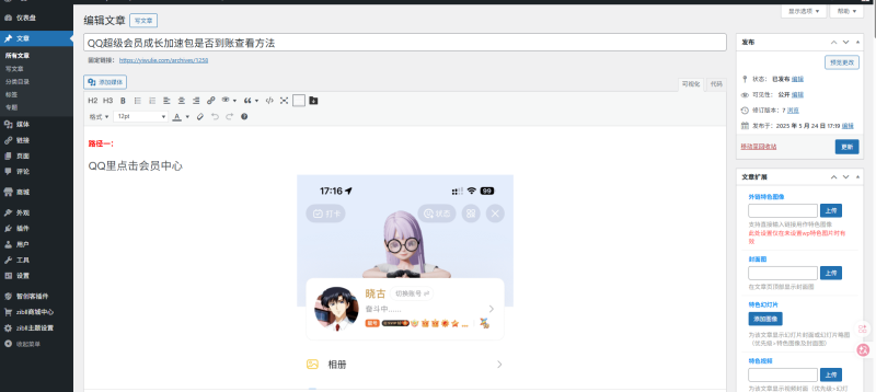 古堡编辑器不显示了，什么原因-WordPress主题模板-zibll子比主题