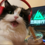 wang7749的头像-WordPress主题模板-zibll子比主题