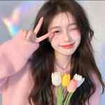 link的头像-WordPress主题模板-zibll子比主题