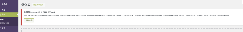 请问上传视频时提示这样的错误怎么解决？-WordPress主题模板-zibll子比主题