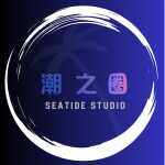 潮之圈网络工作室的头像-WordPress主题模板-zibll子比主题