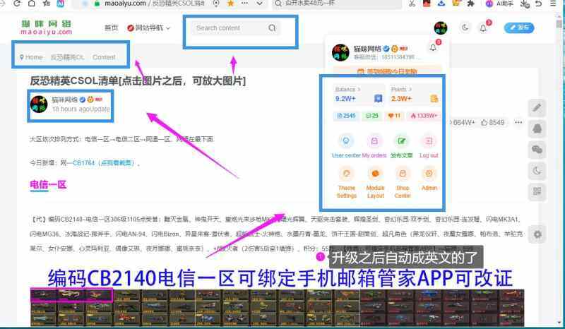 问一下你们网站升级成最新版之后有没有变成英文-WordPress主题模板-zibll子比主题