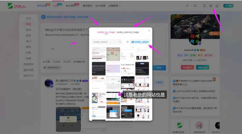 网站这次升级之后自动变成英文了，老唐网站也是上传的时候也是英文.-WordPress主题模板-zibll子比主题