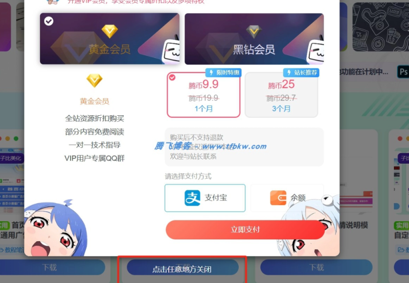 主题更新了老唐能不能在会员那边设置两周样式-WordPress主题模板-zibll子比主题